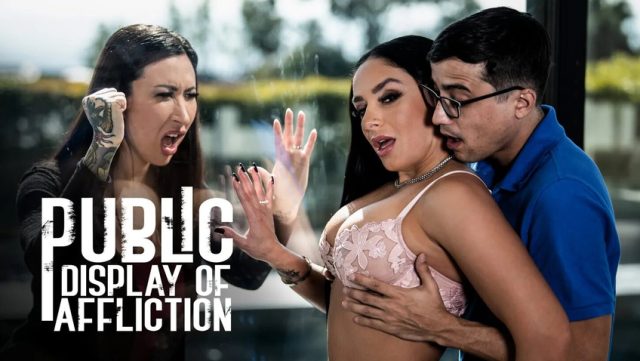 Pamer Derita Di Tempat Umum: Sheena Ryder Dan Ricky Spanish Dalam Aksi Mesum Pure Taboo
