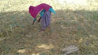 देसी इंडियन बॉयफ्रेंड ने खेत में काम कर रही अपनी गर्म जवान को जमकर चोदा