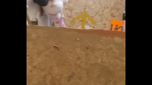 Gercep Aja Sih, Bokep Ini Sambil Nunduk, Celana Dalamnya Kebuka Lebar