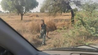 Traveler Desi Ngentot Sama Lonte Desi, Film Biru Panas Abis.